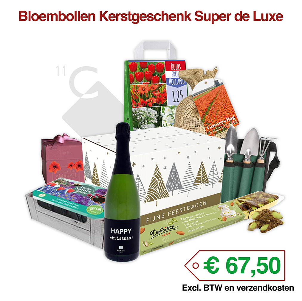 Bloembollen-Kerstgeschenk-Super-de-LuxekDlpIvf36ZoYG