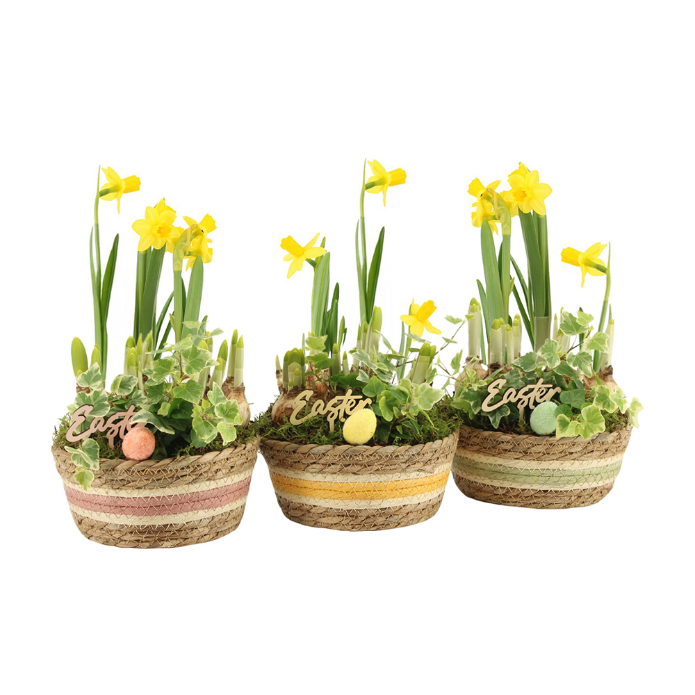Easter basket large - Narcis