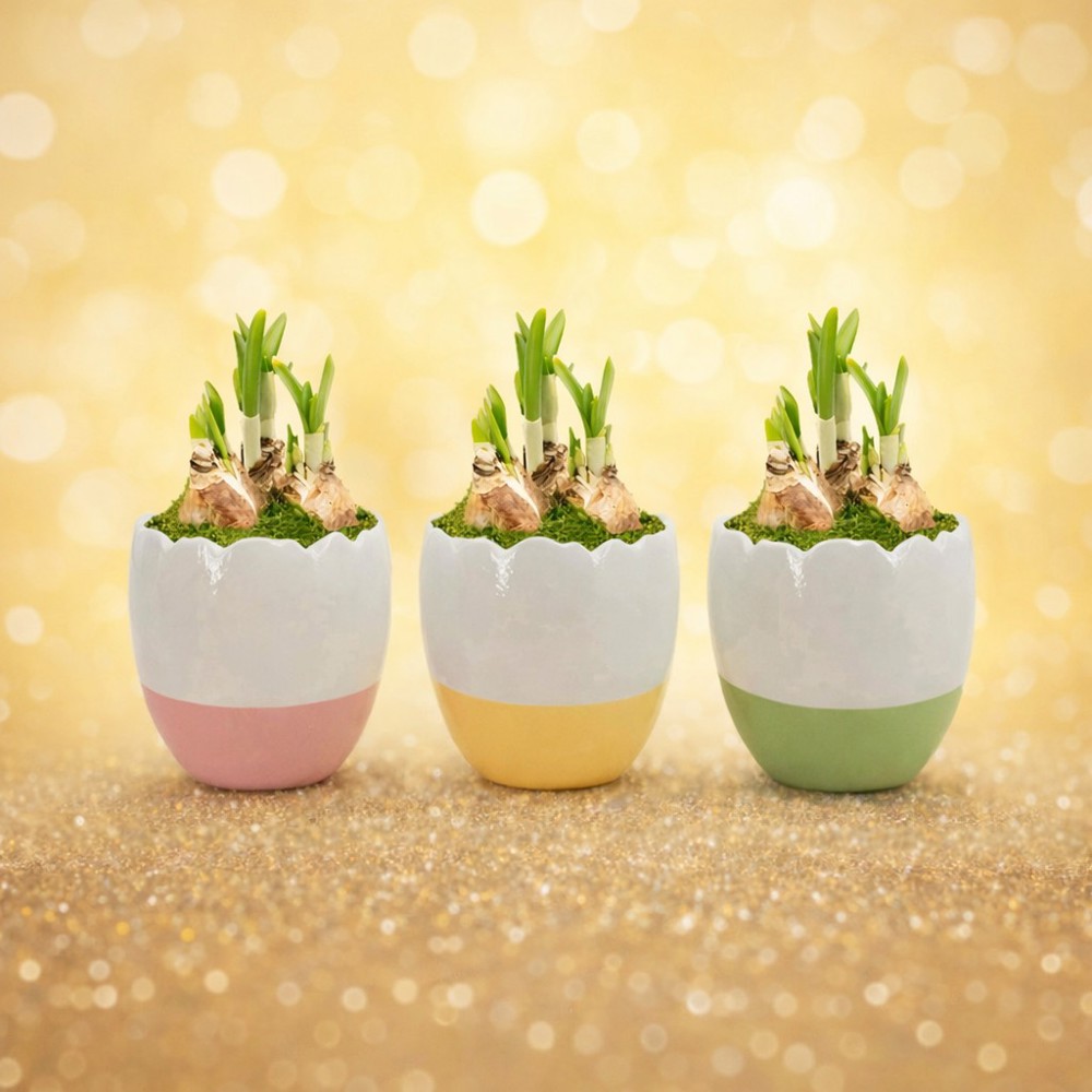 Easter colourful egg medium - Narcis, Zonder verpakking