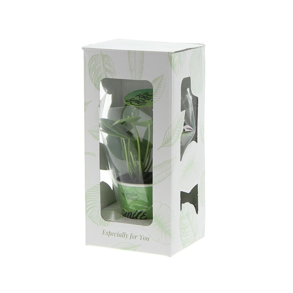 Smylieplant® - Happy in papercup (small), In beschermende plantensleeve