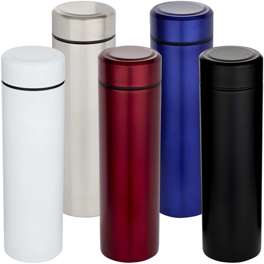 Taylor 450 ml dubbelwandige roestvrijstalen fles met theefilter