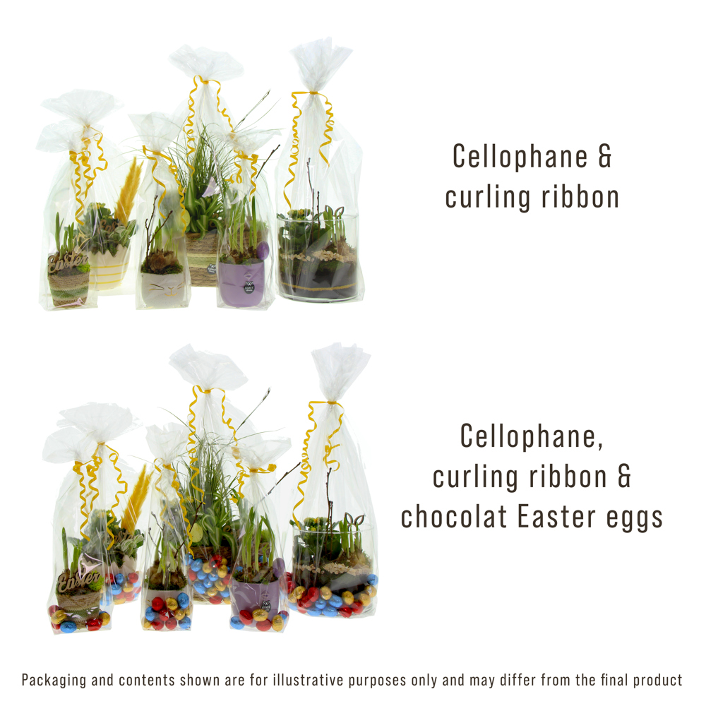 Easter bucket medium - Narcis, Zonder verpakking