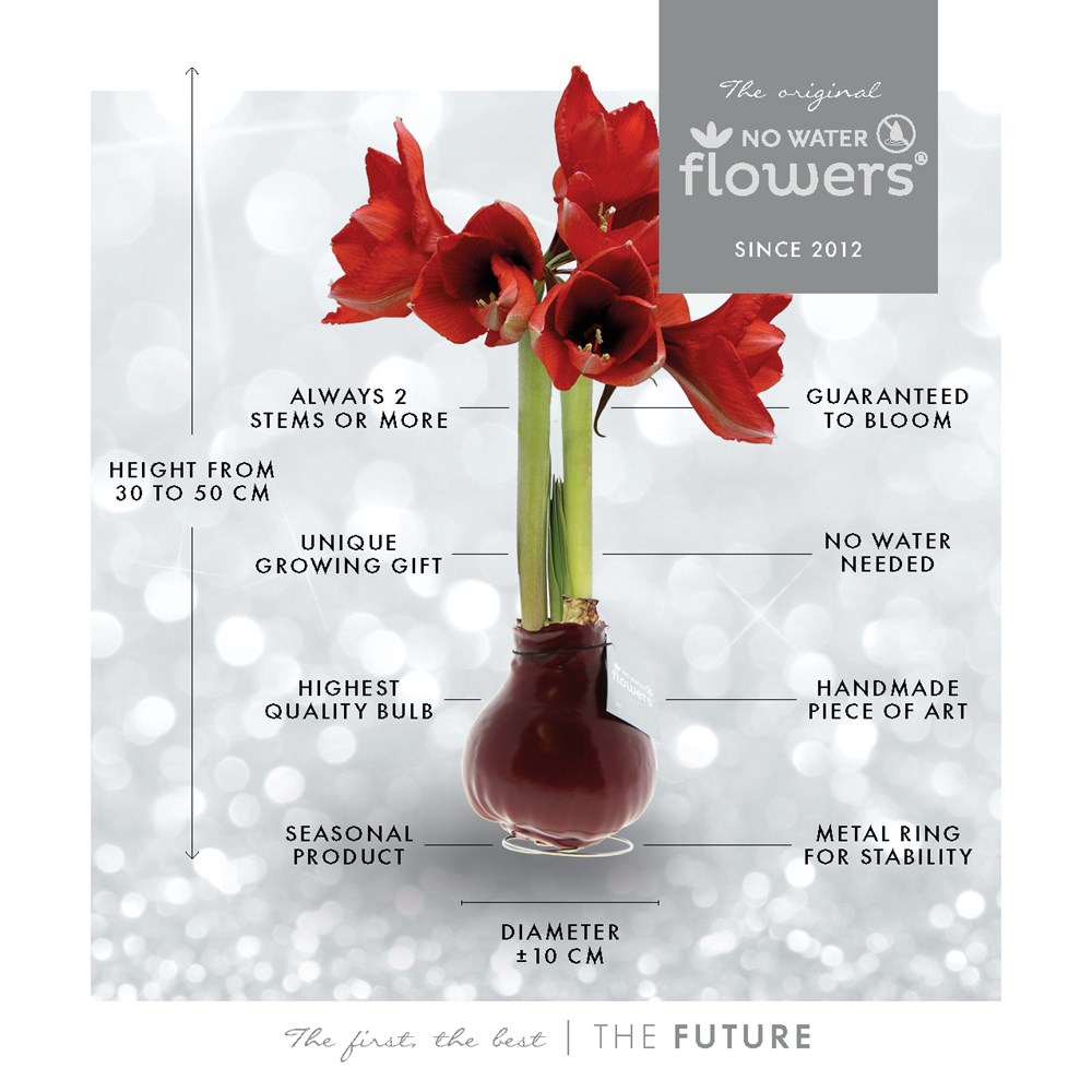 No Water Flowers® - Formz modern, In carry bag, Blauw
