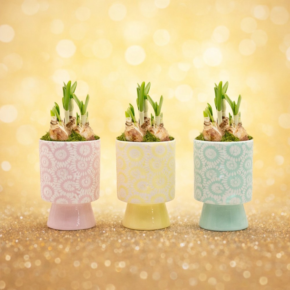 Easter colourful stand medium - Narcis, Zonder verpakking